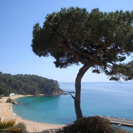 Terry Lloret de Mar