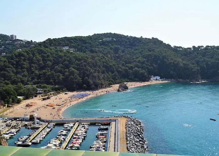 Terry * Lloret de Mar